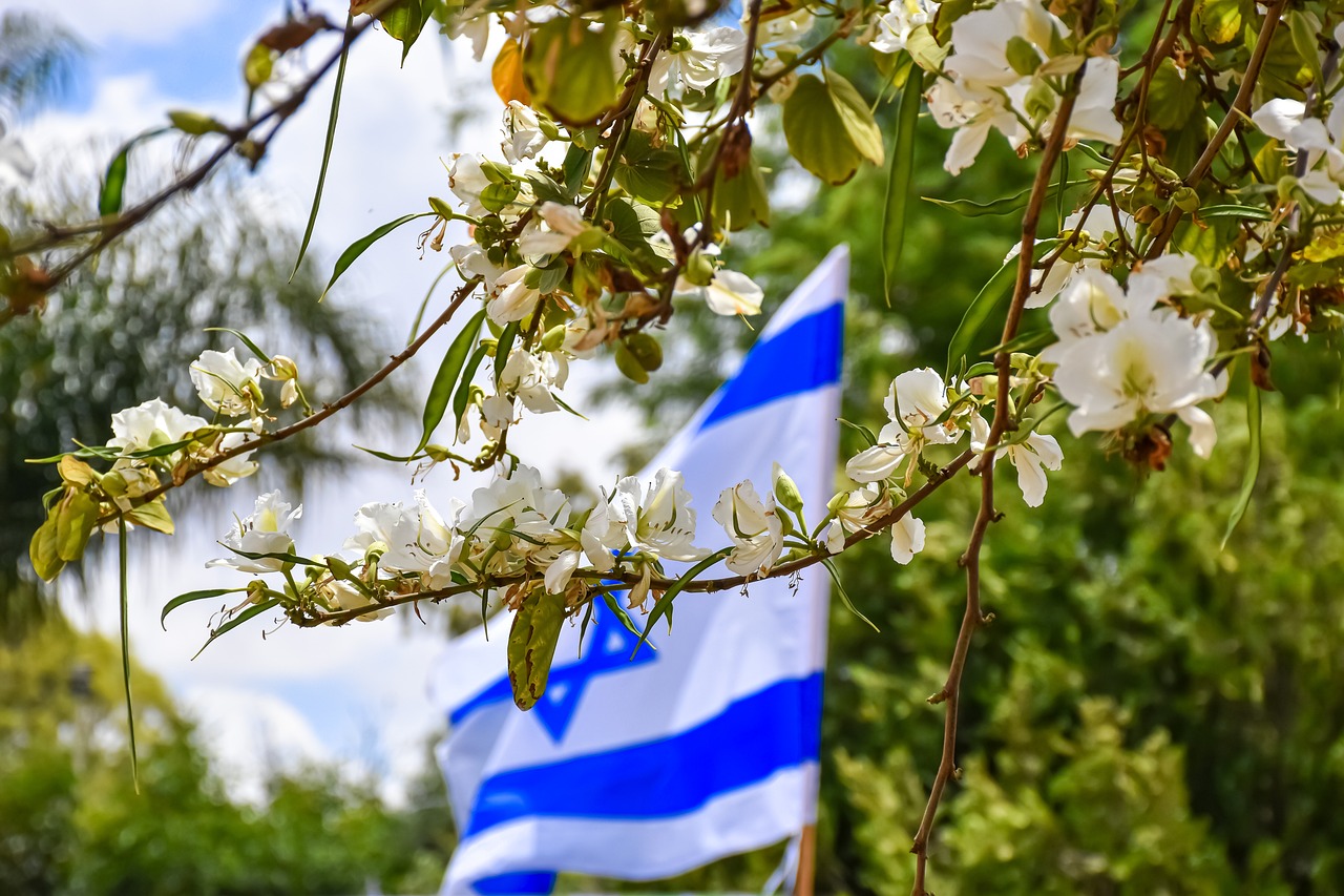 israeli flag